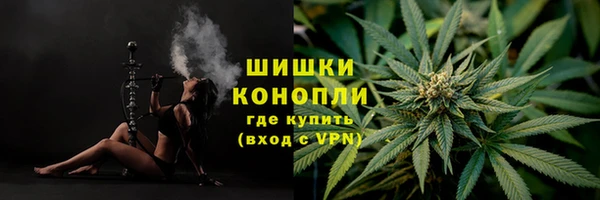 ECSTASY Новозыбков