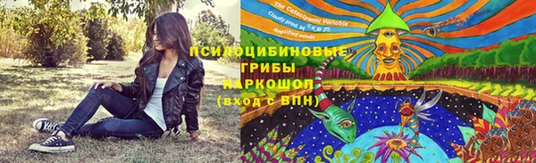 ECSTASY Новозыбков